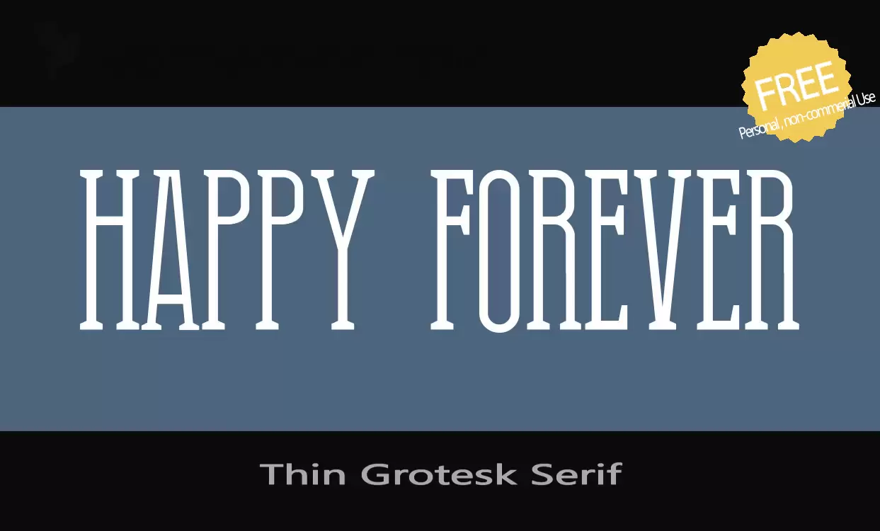 「Thin-Grotesk-Serif」字体效果图