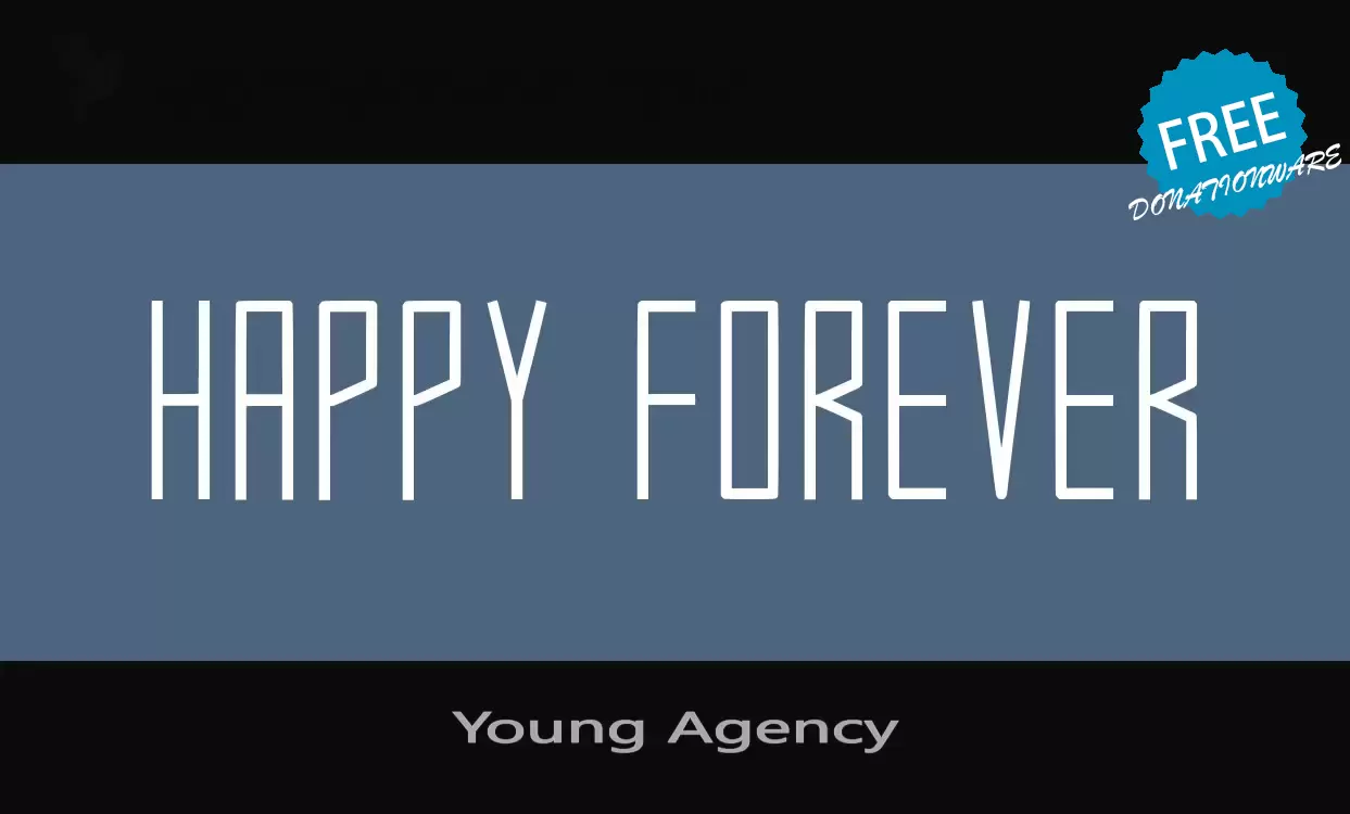 Sample of Young-Agency