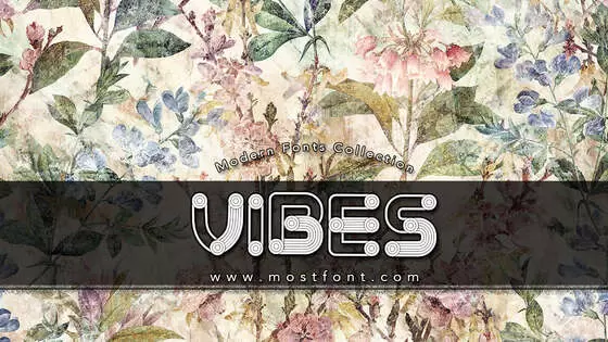 「Vibes」字体排版样式