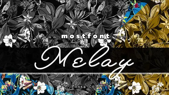 Typographic Design of Melay-Script-PERSONAL-USE