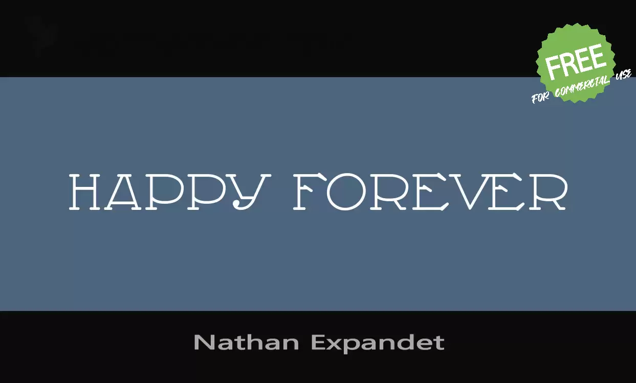 「Nathan Expandet」字体效果图