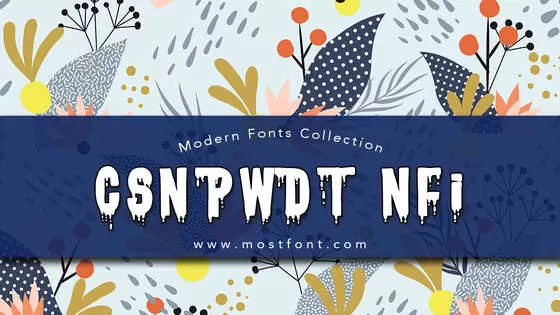 「CSNPWDT-NFI」字体排版图片