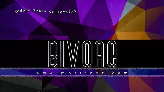 Typographic Design of Bivoac