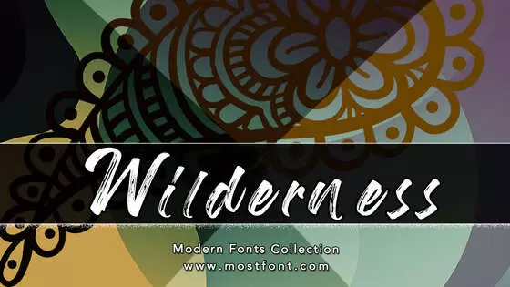 「Wilderness」字体排版样式