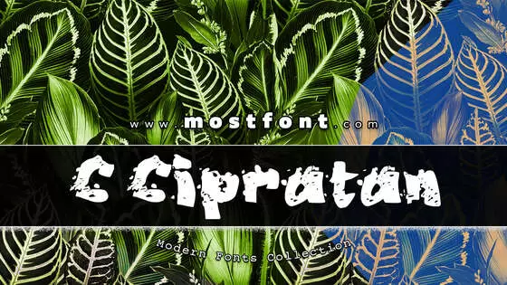 Typographic Design of C-Cipratan