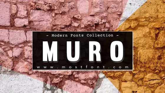 Typographic Design of Muro