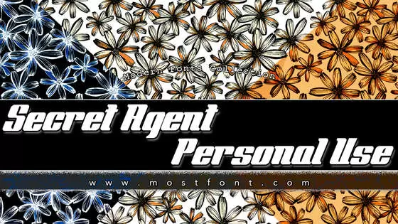 Typographic Design of Secret-Agent-Personal-Use