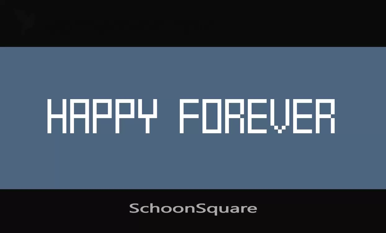 Sample of SchoonSquare