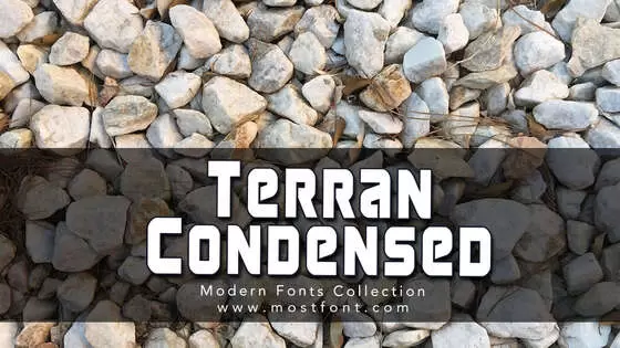 Typographic Design of Terran-Condensed