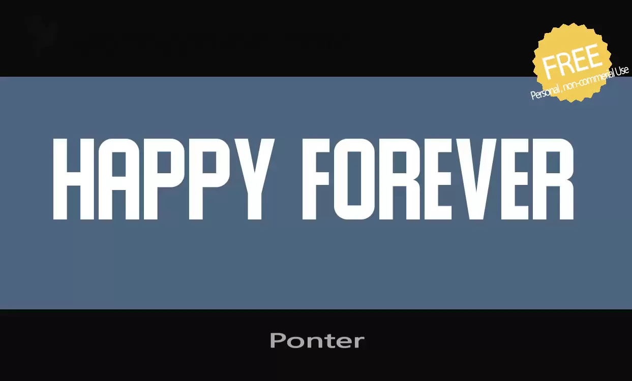 Font Sample of Ponter