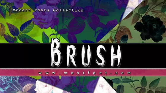 「Brush」字体排版样式