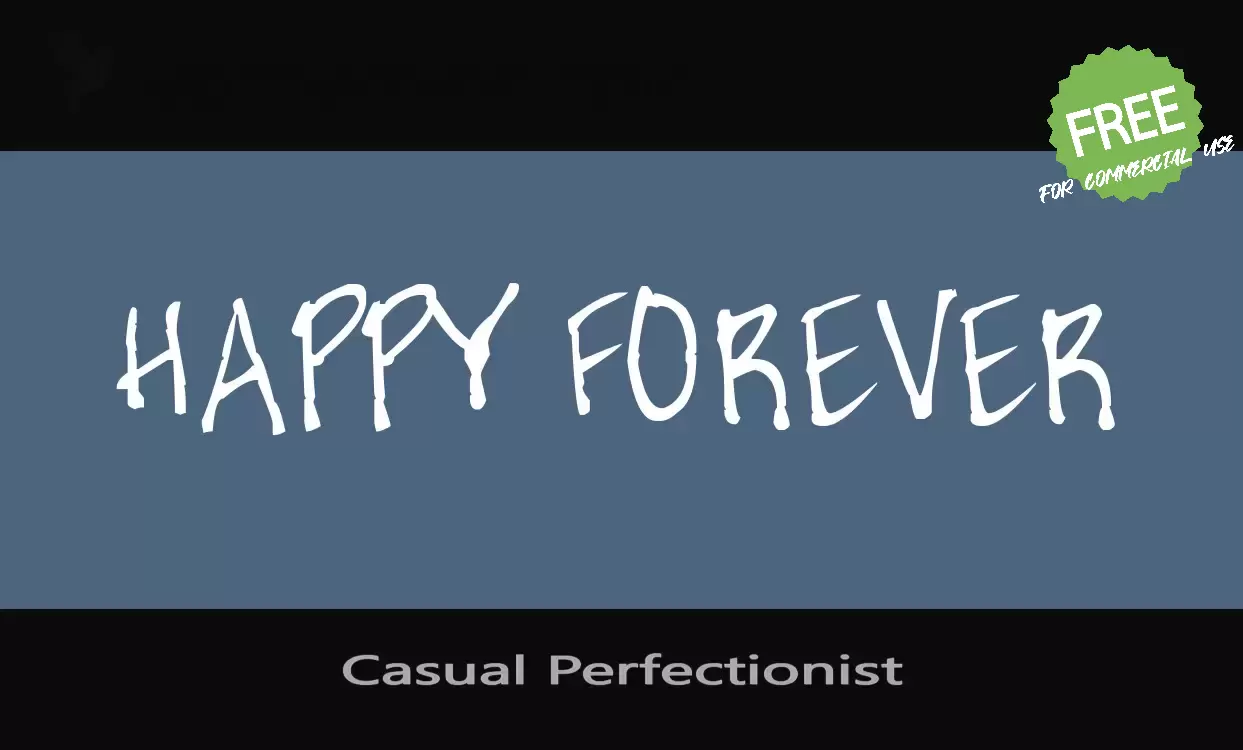 「Casual Perfectionist」字体效果图