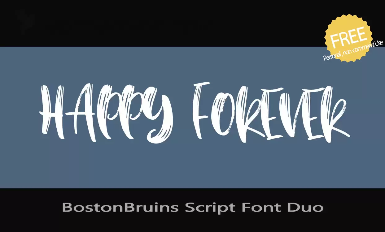 Font Sample of BostonBruins-Script-Font-Duo