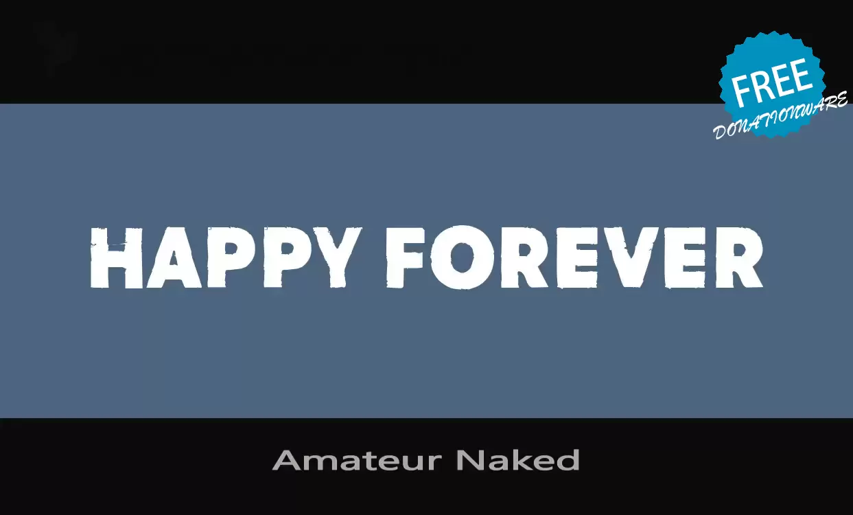 「Amateur-Naked」字体效果图