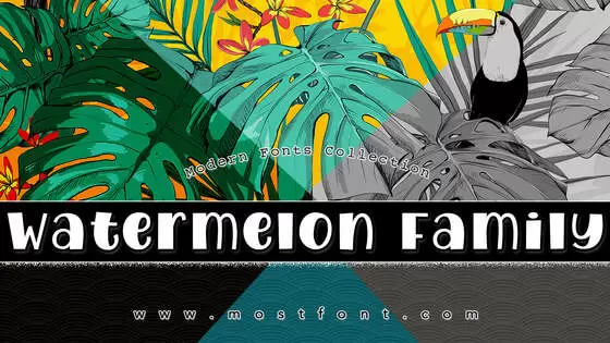 Typographic Design of Watermelon-Family