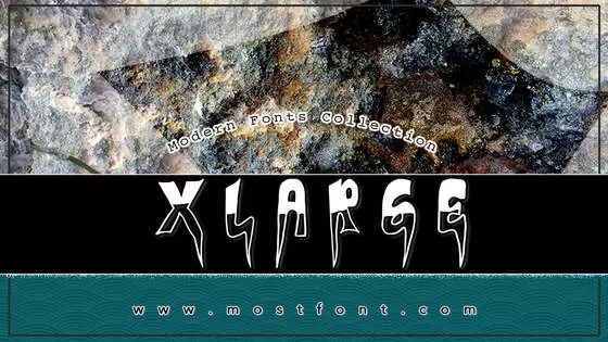 Typographic Design of XLARGE