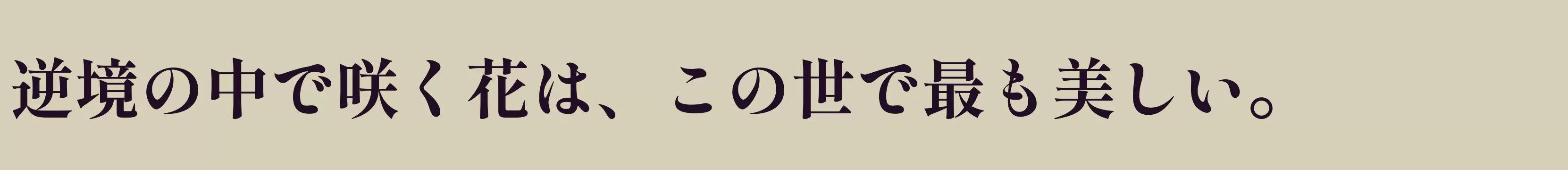 「ExtraBold」字体效果图