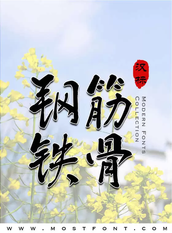 Typographic Design of 汉标清新洒脱体