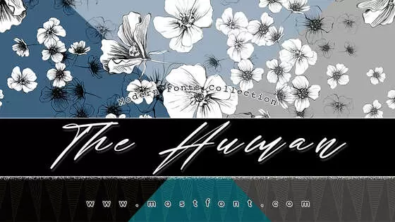 Typographic Design of The-Human