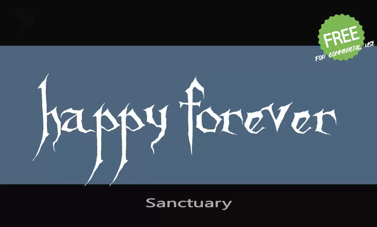 「Sanctuary」字体效果图