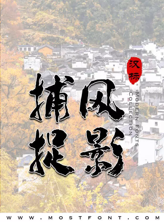 Typographic Design of 汉标高清抖体