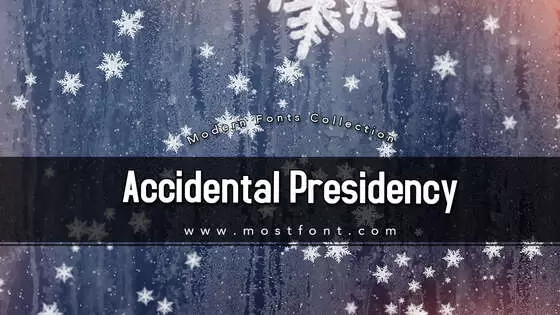 「Accidental-Presidency」字体排版图片