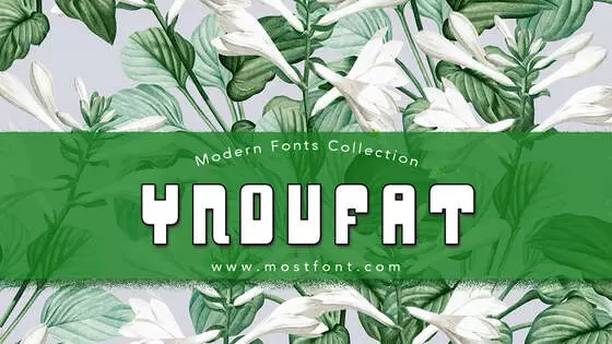 Typographic Design of YnduFat