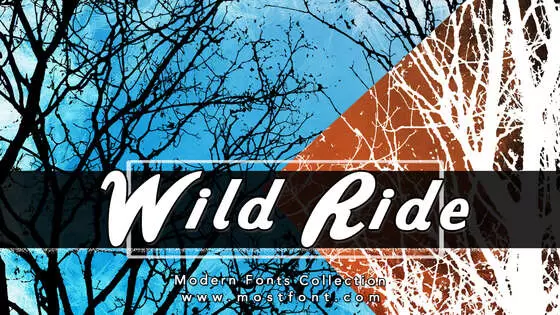 「Wild-Ride」字体排版图片