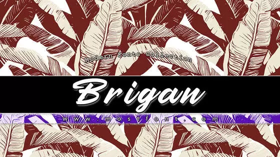 Typographic Design of Brigan