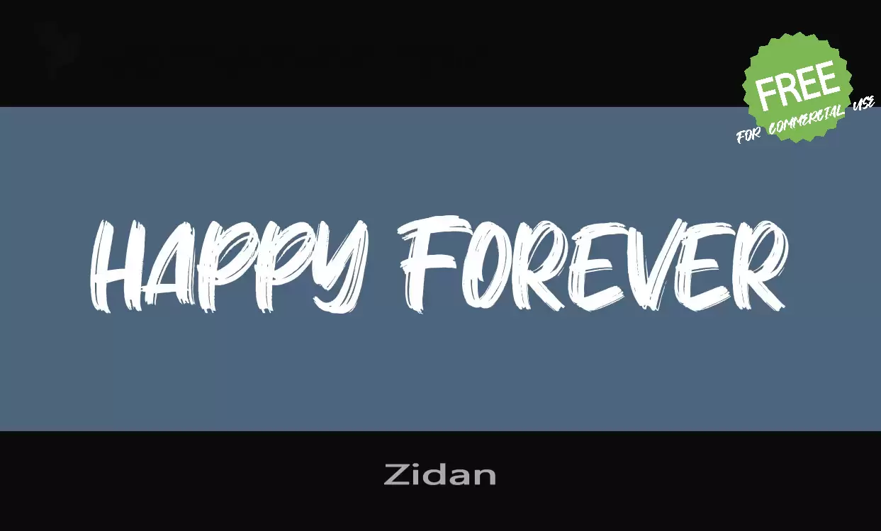 「Zidan」字体效果图