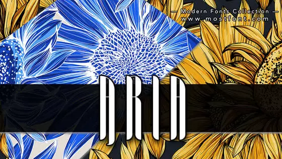 Typographic Design of Aria