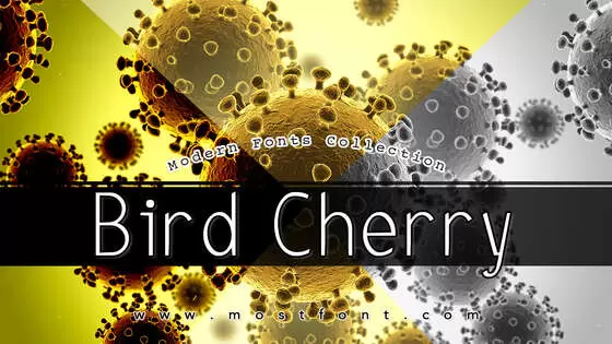 「Bird-Cherry」字体排版样式