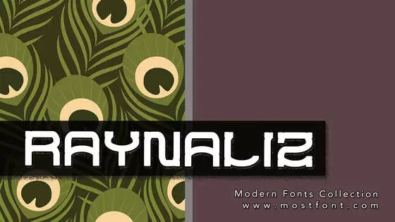 Typographic Design of RAYNALIZ