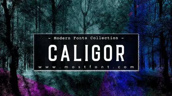 「Caligor」字体排版样式