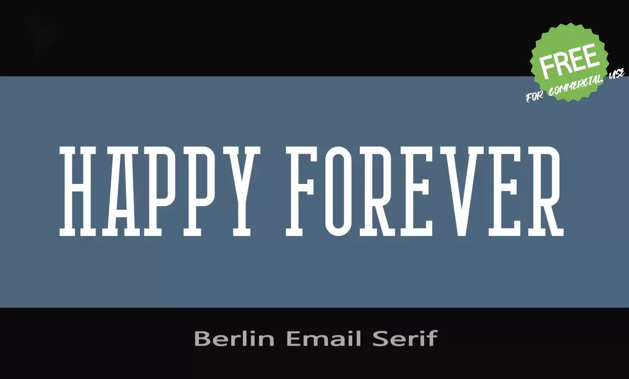 Sample of Berlin Email Serif