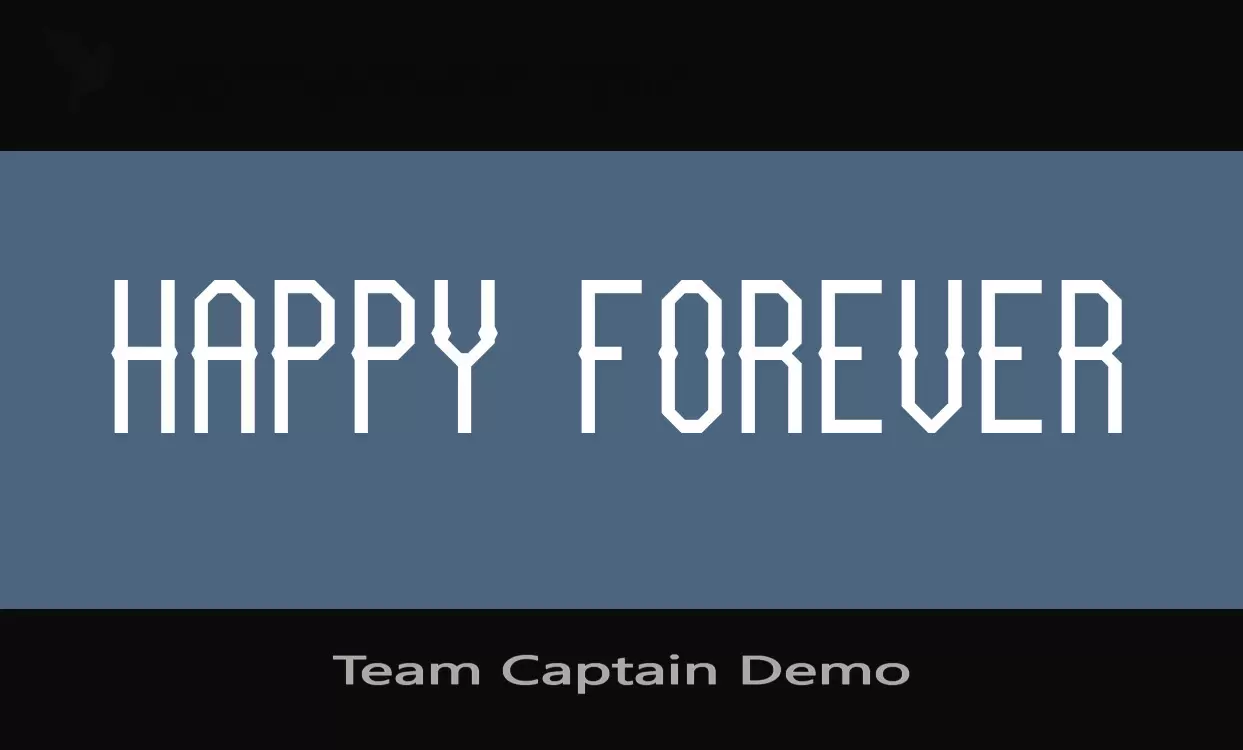 「Team-Captain-Demo」字体效果图