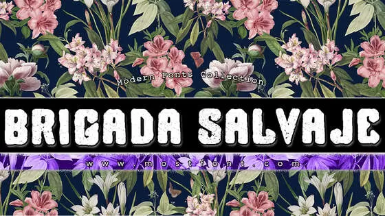 Typographic Design of Brigada-Salvaje