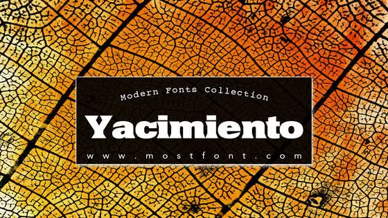 「Yacimiento」字体排版样式