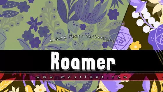 「Roamer」字体排版图片