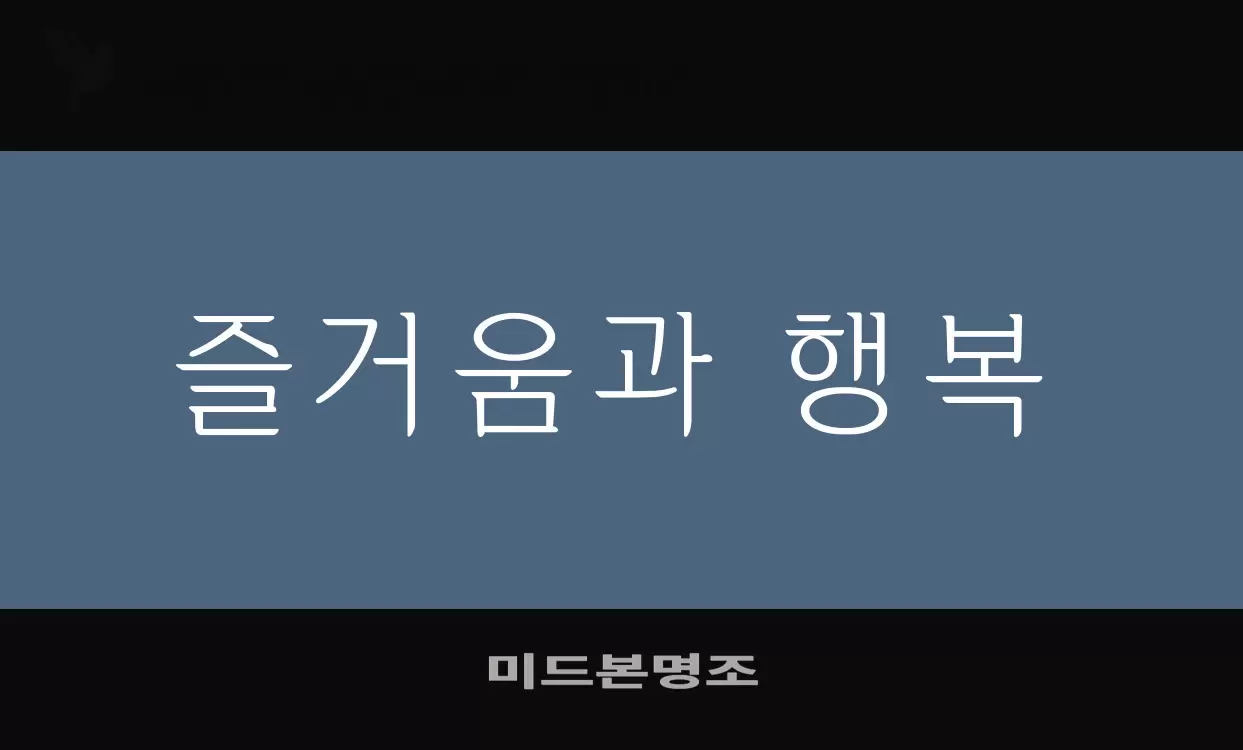 「미드본명조」字体效果图