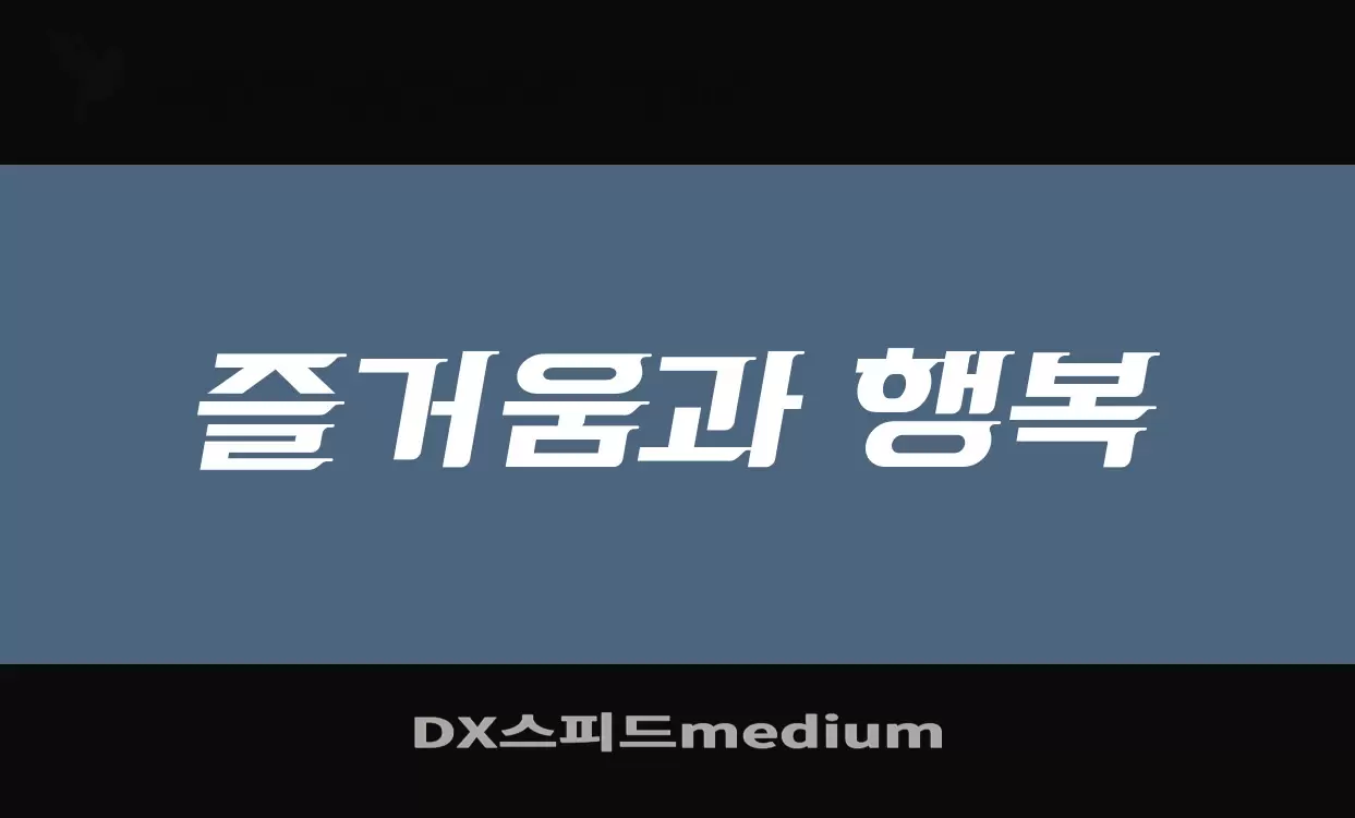 「DX스피드medium」字体效果图