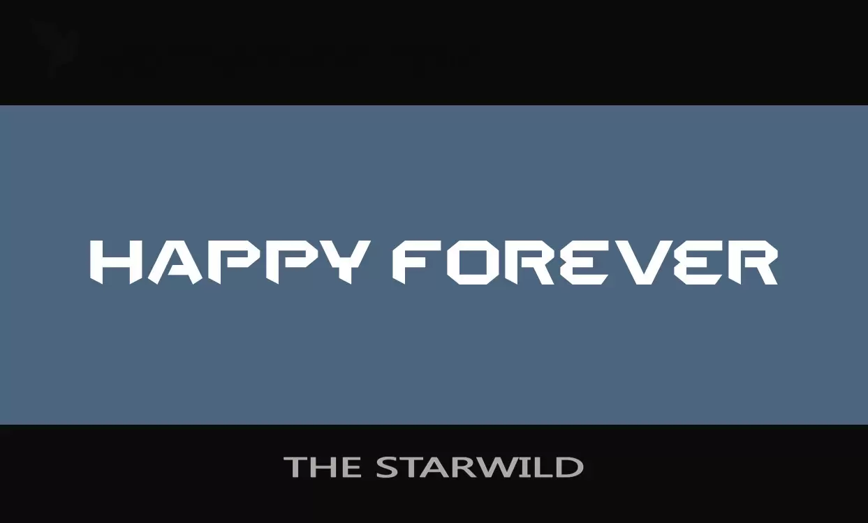 「THE-STARWILD」字体效果图