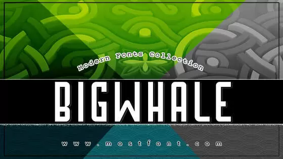 「Bigwhale」字体排版图片