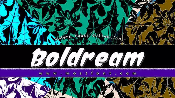 Typographic Design of Boldream