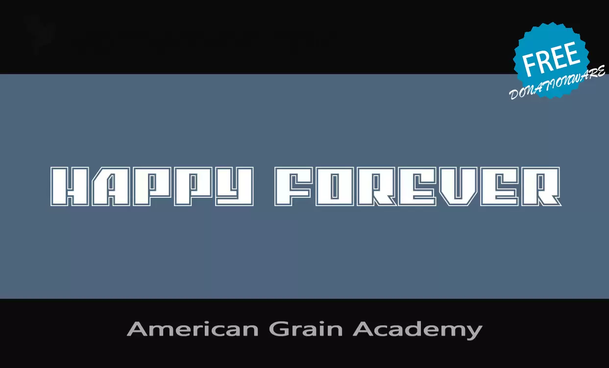 「American-Grain-Academy」字体效果图