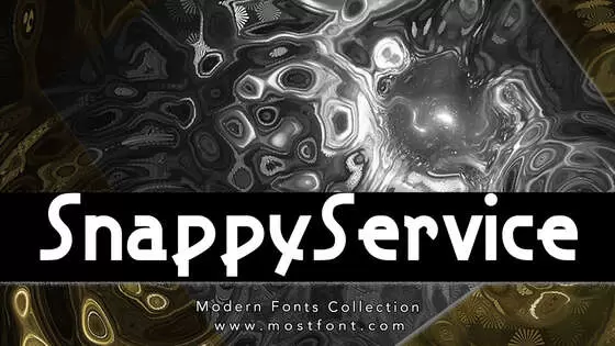 Typographic Design of SnappyService