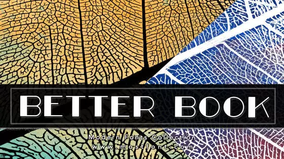 「Better-Book」字体排版图片