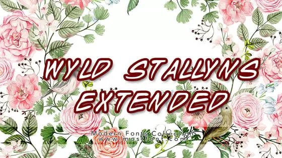 「Wyld-Stallyns-Extended」字体排版图片