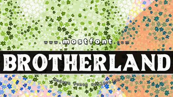 Typographic Design of Brotherland