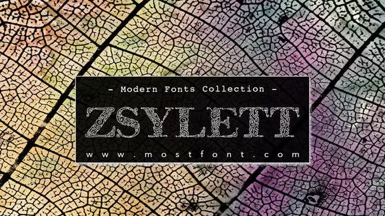 「Zsylett」字体排版图片